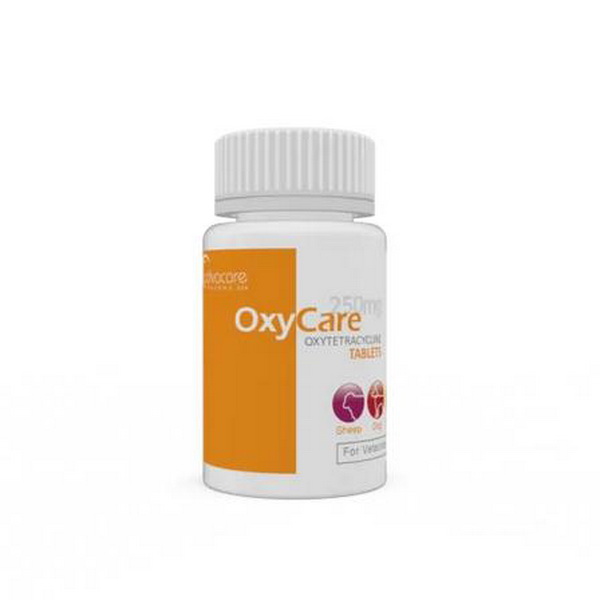 (image for) Oxytetracycline (Terramycin) 250mg
